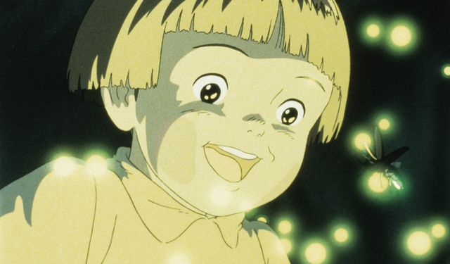 ジブリ作品セット 火垂るの墓、カリオストロの城、崖の上のポニョ、メアリと魔女の花 ジブリ作品セット 火垂るの墓、カリオストロの城、崖の上の
