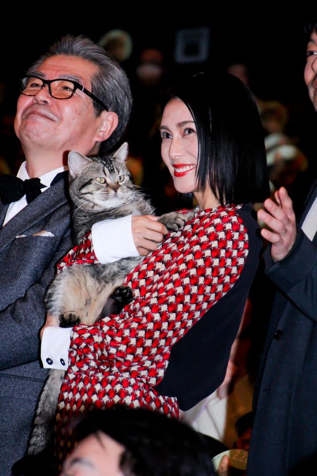 柴咲コウ、かわいい猫を抱っこ！『ねことじいちゃん』完成披露試写会（17枚目）