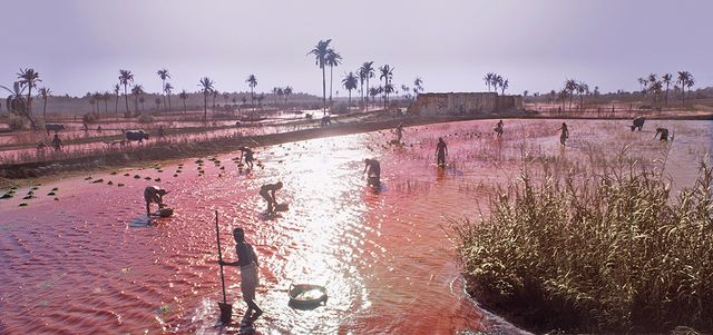 映画『エクソダス：神と王』フォトギャラリー（12枚目）