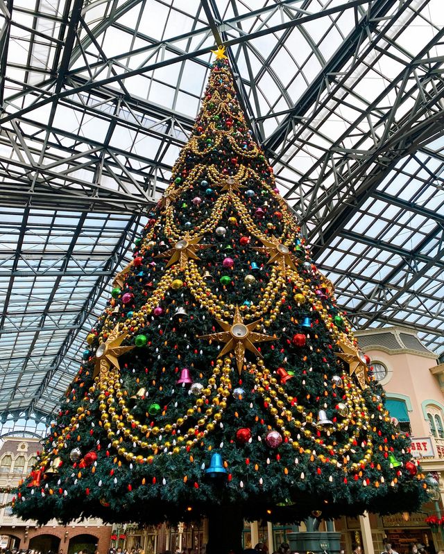 「ディズニー・クリスマス」パーク内の様子：フォトギャラリー