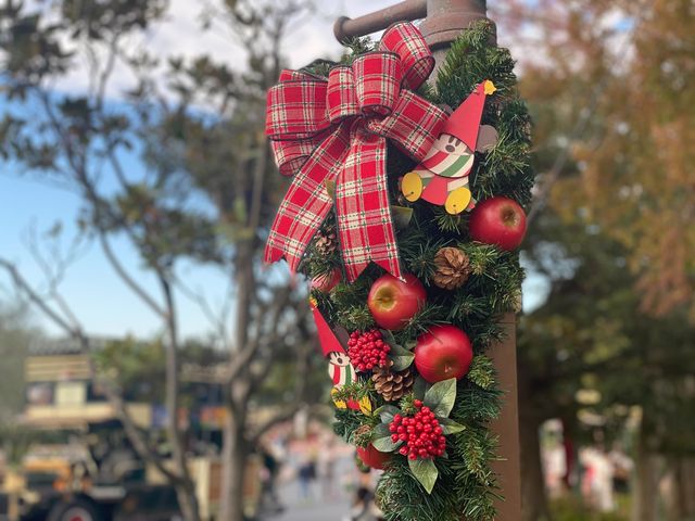 「ディズニー・クリスマス」パーク内の様子（7枚目）