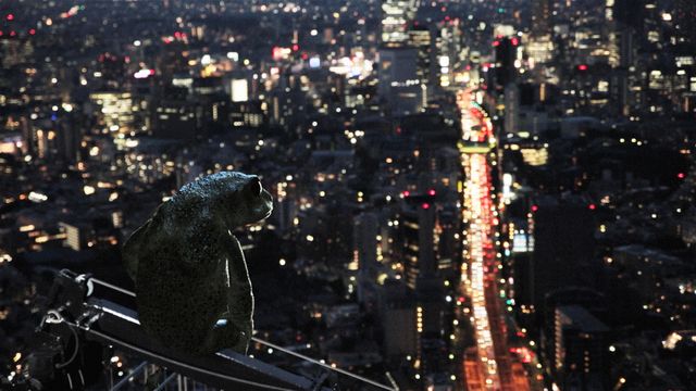 かえるくん、二つの満月…『ドリーミング村上春樹』場面写真：フォトギャラリー