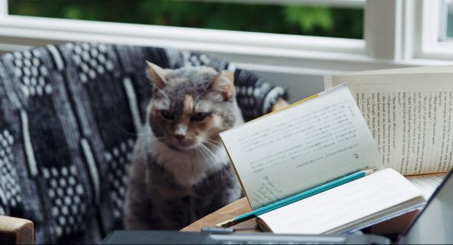 かえるくん、二つの満月…『ドリーミング村上春樹』場面写真（3枚目）