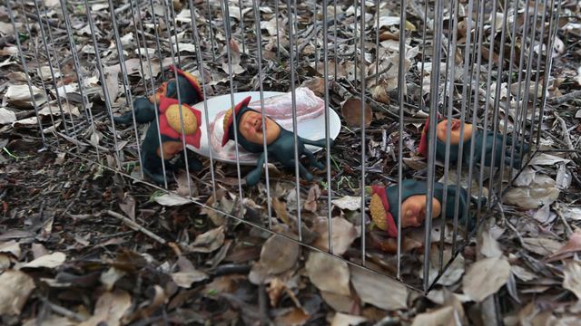 『こびと劇場2』フォトギャラリー（7枚目）