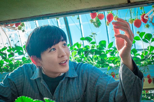 【11枚】古川雄輝と竜星涼の破壊力！『リスタートはただいまのあとで』（4枚目）