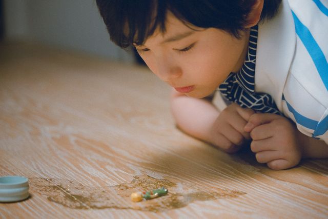 是枝裕和監督・綾瀬はるか＆大悟主演『箱の中の羊』ポスタービジュアル＆場面写真（2枚目）