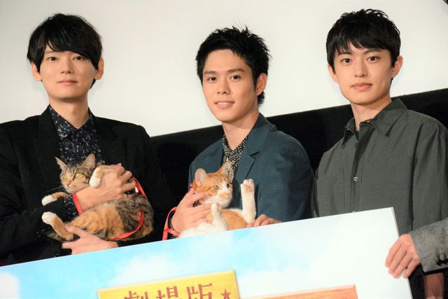 古川雄輝・細田佳央太・長井短らが猫たちと一緒に！『劇場版　ねこ物件』公開記念舞台あいさつ（10枚目）