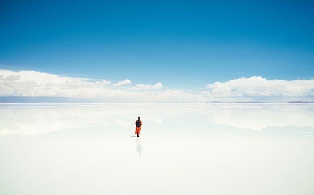 愛を感じる『四月になれば彼女は』場面写真10点（9枚目）