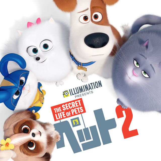 映画『ペット2』の放送決定!