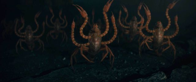 『ファンタスティック・ビーストとダンブルドアの秘密』個性豊かでかわいい魔法動物たち！（2枚目）