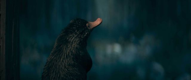 『ファンタスティック・ビーストとダンブルドアの秘密』個性豊かでかわいい魔法動物たち！（5枚目）