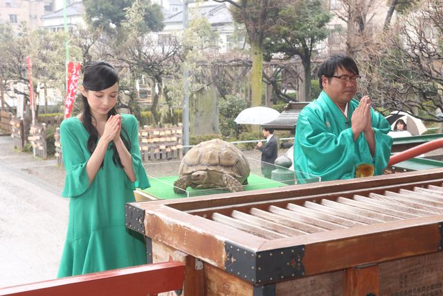 ベッキーの今年の抱負は「歩」！フォトギャラリー（2枚目）