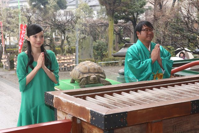 ベッキーの今年の抱負は「歩」！フォトギャラリー（3枚目）