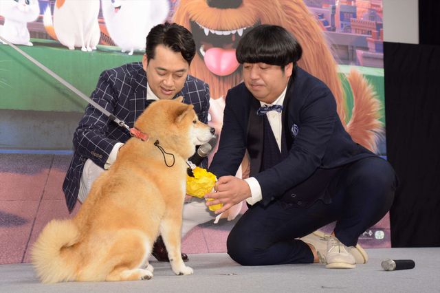 バナナマン日村、犬とのディープキスに大興奮！　画像ギャラリー（12枚目）
