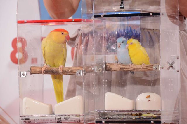 バナナマン日村、犬とのディープキスに大興奮！　画像ギャラリー（26枚目）