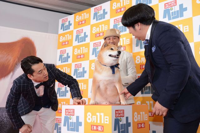 バナナマン日村、犬とのディープキスに大興奮！　画像ギャラリー（27枚目）