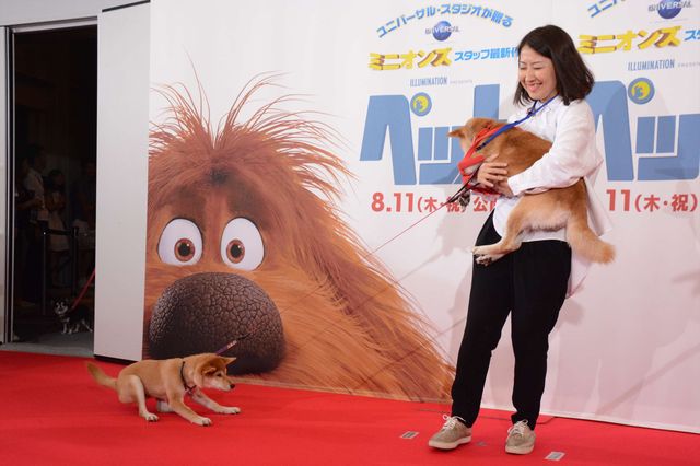 バナナマン日村、犬とのディープキスに大興奮！　画像ギャラリー（40枚目）