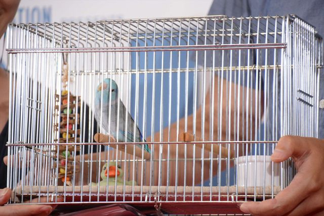 バナナマン日村、犬とのディープキスに大興奮！　画像ギャラリー（45枚目）