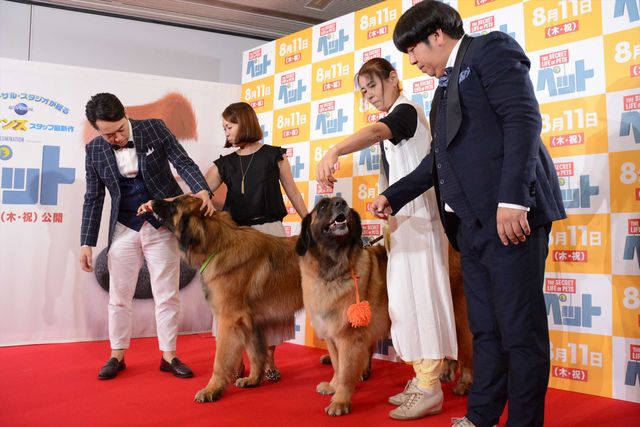 バナナマン日村、犬とのディープキスに大興奮！　画像ギャラリー（47枚目）