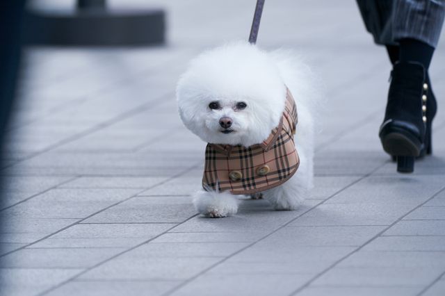 堂本剛が一発勝負で描いた巨大な○！映画『まる』に登場する多種多様な“まる”たち（3枚目）