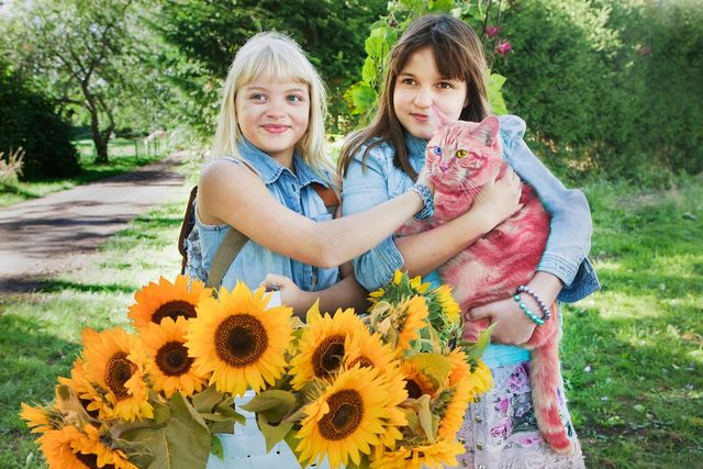 インテリアもオシャレ！『オンネリとアンネリとひみつのさくせん』場面写真：フォトギャラリー