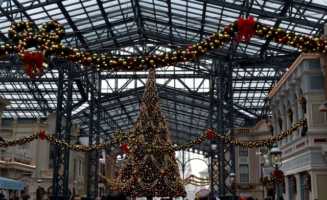 クリスマスムード一色の東京ディズニーリゾートフォトギャラリー：フォトギャラリー