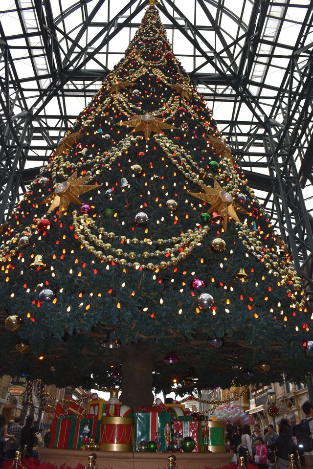 クリスマスムード一色の東京ディズニーリゾートフォトギャラリー（6枚目）