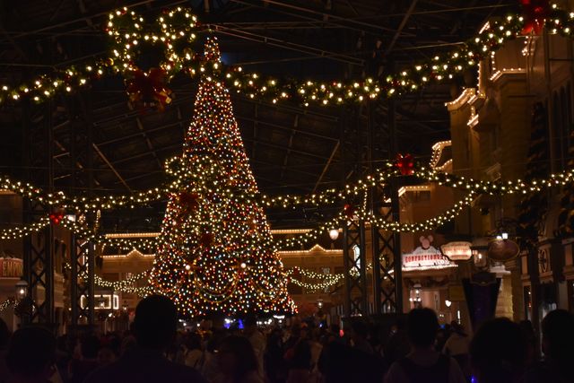 クリスマスムード一色の東京ディズニーリゾートフォトギャラリー（15枚目）