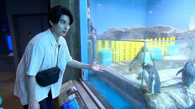 無邪気な笑顔がはじける！本田響矢、長崎旅での写真8枚（2枚目）