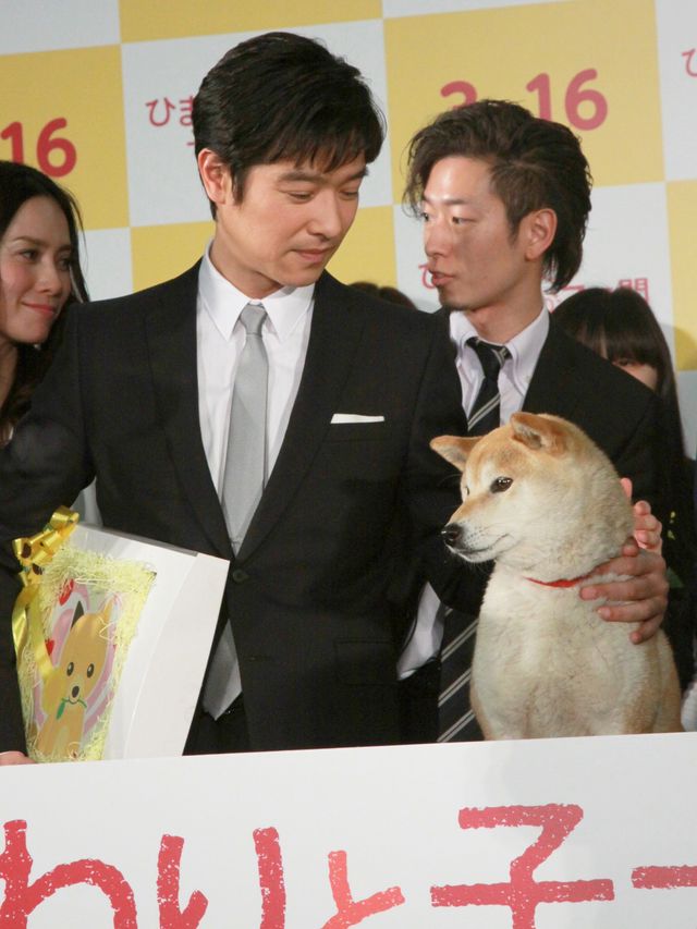 中谷美紀級の女優犬誕生!?-映画『ひまわりと子犬の7日間』完成披露試写会フォトギャラリー（6枚目）
