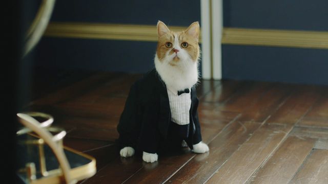 横浜流星、執事姿がカッコよすぎる！（3枚目）