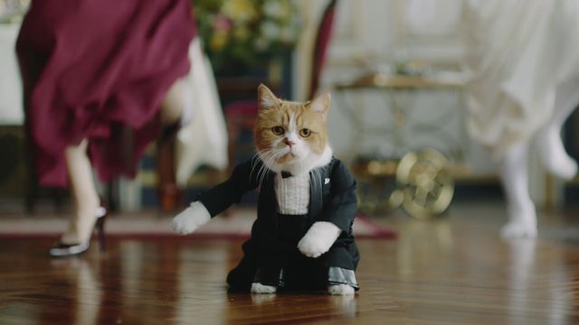 横浜流星、執事姿がカッコよすぎる！（9枚目）