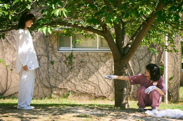 綾瀬はるか『ルート29』場面写真（2枚目）