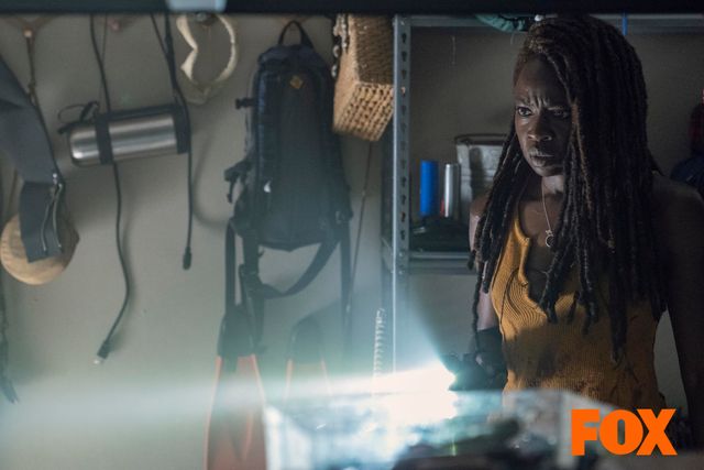 ミショーンが向かった島には何が…「ウォーキング・デッド」シーズン10第13話（4枚目）