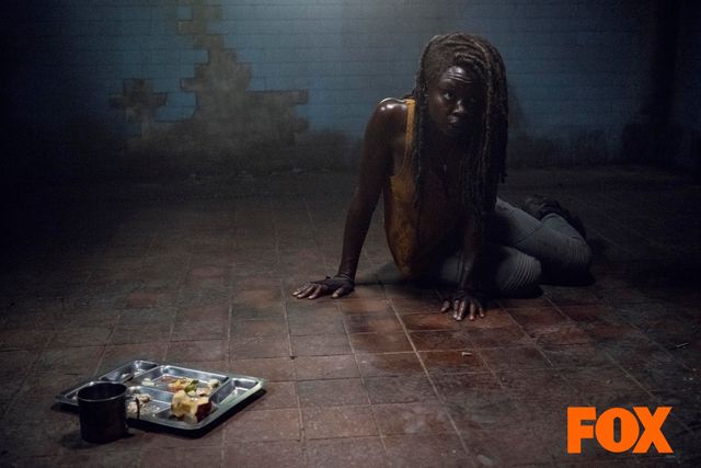 ミショーンが向かった島には何が…「ウォーキング・デッド」シーズン10第13話（8枚目）