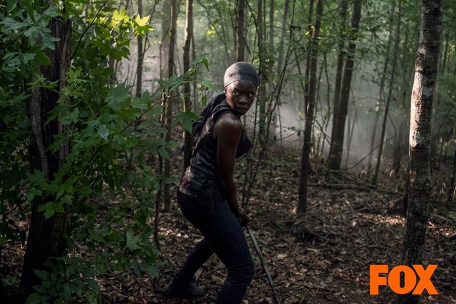 ミショーンが向かった島には何が…「ウォーキング・デッド」シーズン10第13話（9枚目）