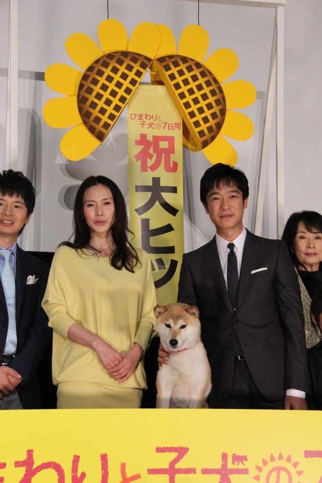 映画『ひまわりと子犬の7日間』初日舞台あいさつ　フォトギャラリー（17枚目）