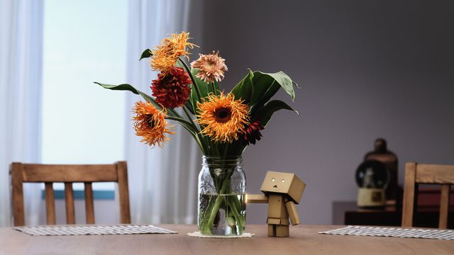 「よつばと！」ダンボー主演CM　フォトギャラリー（3枚目）