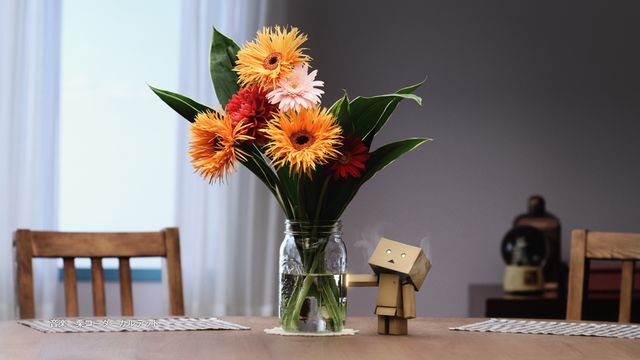 「よつばと！」ダンボー主演CM　フォトギャラリー（5枚目）