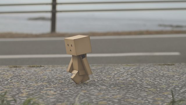 「よつばと！」ダンボー主演CM　フォトギャラリー（13枚目）