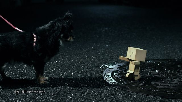 「よつばと！」ダンボー主演CM　フォトギャラリー（24枚目）