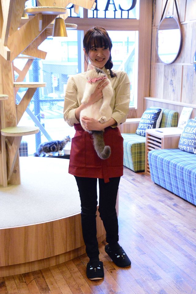 猫の日に映画『猫カフェ』製作発表！（2枚目）