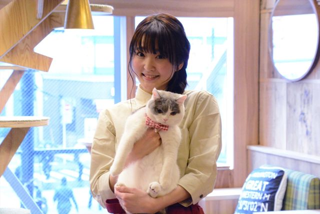 猫の日に映画『猫カフェ』製作発表！（3枚目）