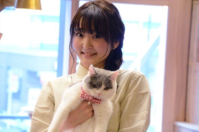 猫の日に映画『猫カフェ』製作発表！（4枚目）