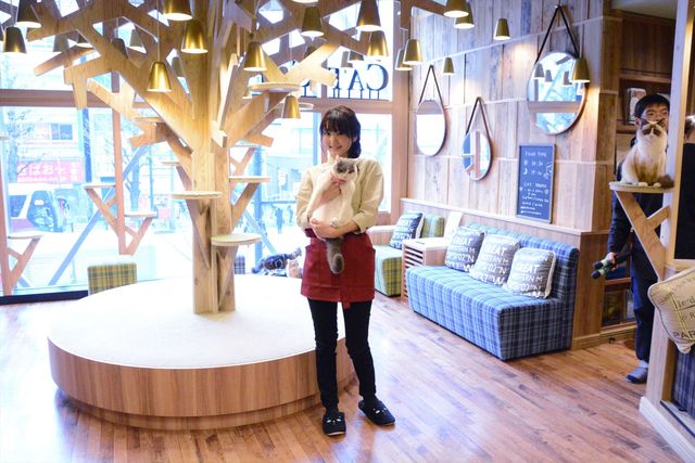 猫の日に映画『猫カフェ』製作発表！（5枚目）