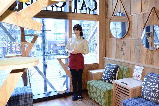 猫の日に映画『猫カフェ』製作発表！（10枚目）