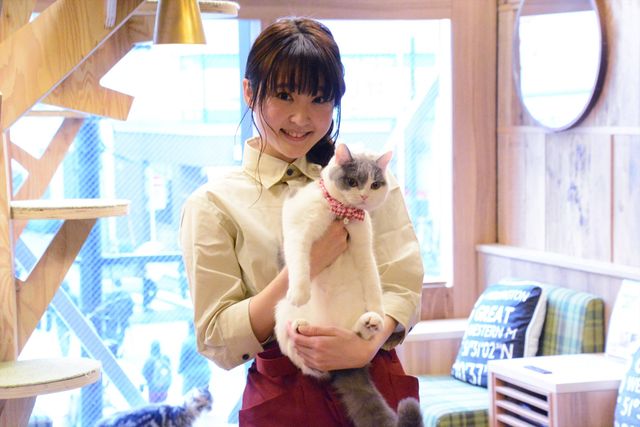 猫の日に映画『猫カフェ』製作発表！（14枚目）
