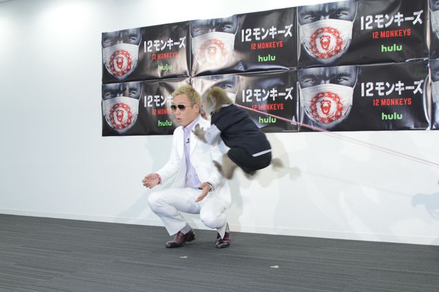 じゅんいちダビッドソン、猿に襲われる！フォトギャラリー：フォトギャラリー