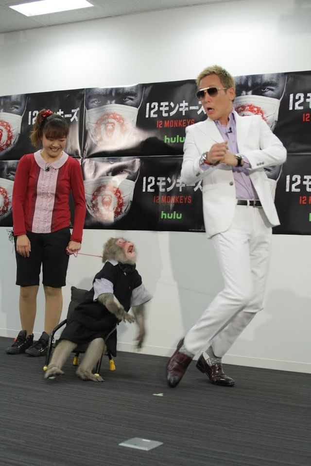 じゅんいちダビッドソン、猿に襲われる！フォトギャラリー（2枚目）