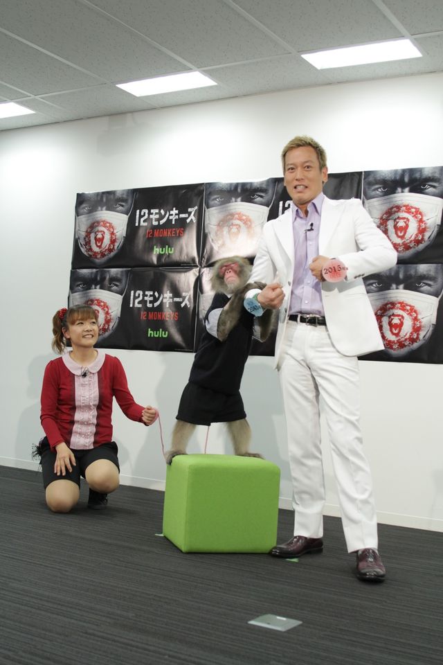 じゅんいちダビッドソン、猿に襲われる！フォトギャラリー（3枚目）